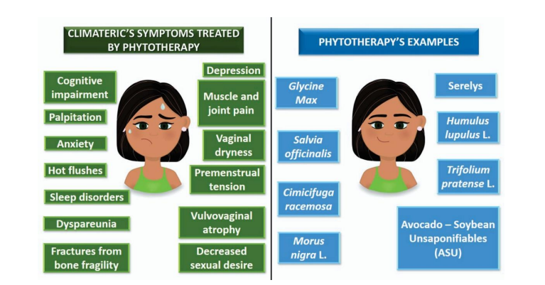 Phytotherapy as an Alternative to Hormone Replacement Therapy in Climacteric Syndrome