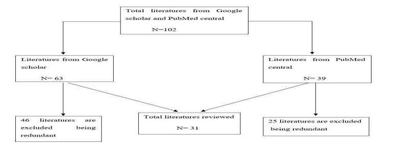 Integrated Pharmaceutical Logistic System in Ethiopia: Systematic Review of Challenges and Prospects